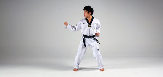 Side Block | Taekwondo Wiki | Fandom