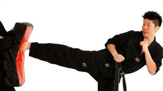 How_to_Do_a_Side_Kick_Taekwondo_Training