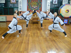 Korean martial arts, Taekwondo Wiki