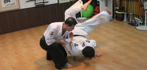 Korean martial arts - Wikipedia