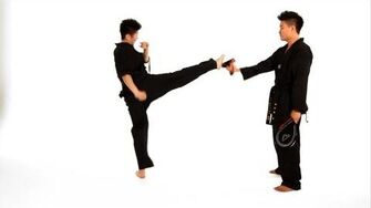 How_to_Do_a_Roundhouse_Kick_Taekwondo_Training