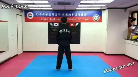 Taekwondo_-_Poomsae_4_(Sa_Jang)_Slow-motion_&_Mirror