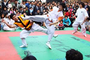 TaekkyeonSparring