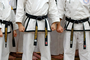 korean taekwondo belts