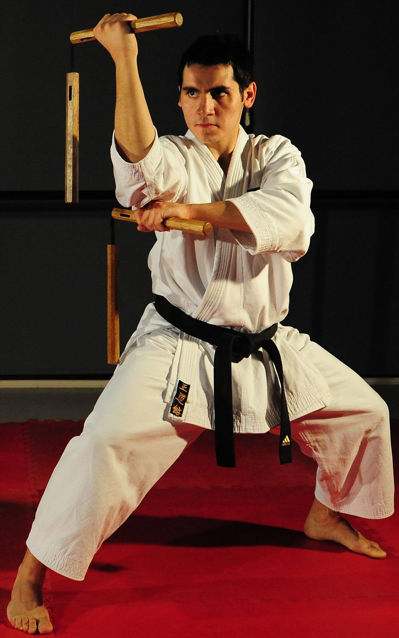 Weapon Training, Martial Arts