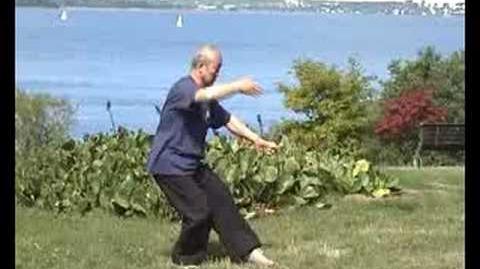 Taijiquan_88_forms_88式太极拳_1_2