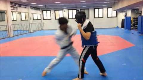 실전_태권도_Taekwondo_-_Lee_Dong_Hee