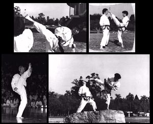 KimHanChang