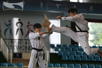 How to Do a Jump Front Kick  Taekwondo Training 