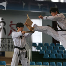 Jump Front Kick Taekwondo Wiki Fandom