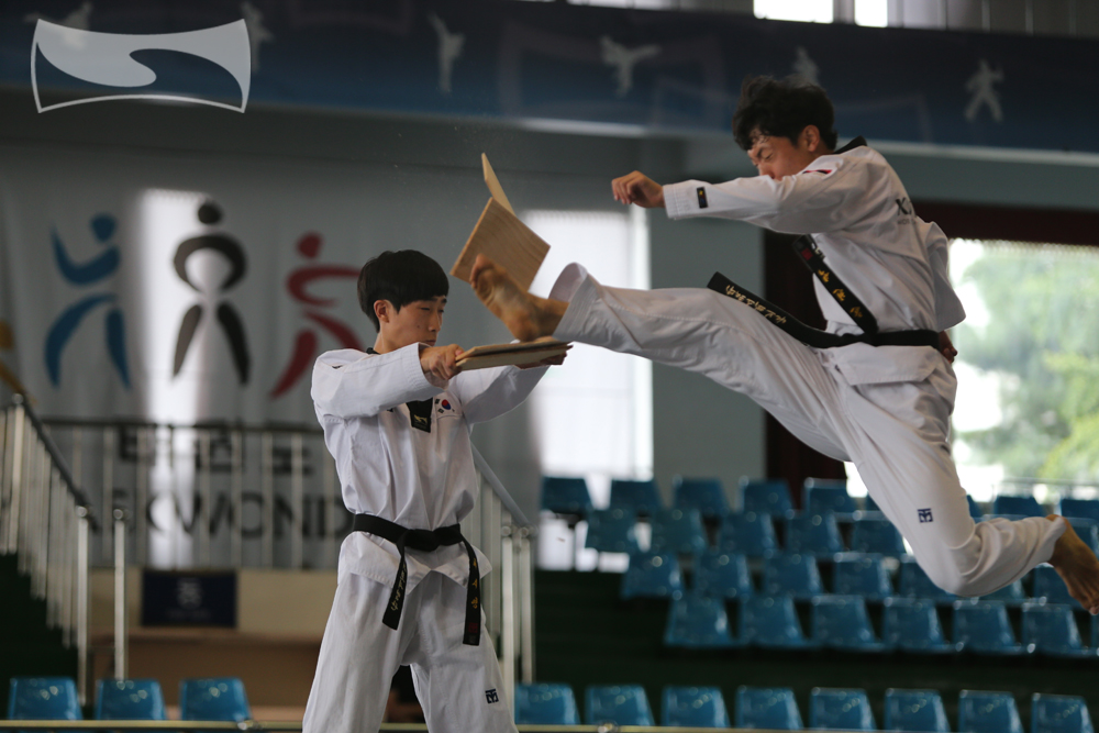 karate jump front kick