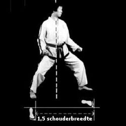 Category Stance Taekwondo Wiki Fandom Category Stance Taekwondo Wiki Fandom