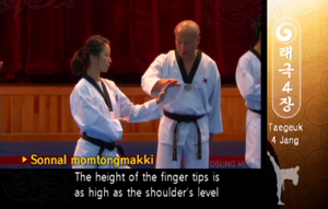 Double Knifehand Block (detail)