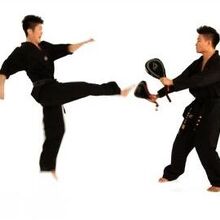 Double Roundhouse Kick Taekwondo Wiki Fandom