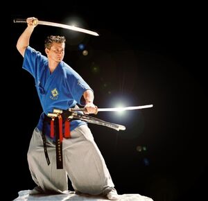 Korean martial arts, Taekwondo Wiki