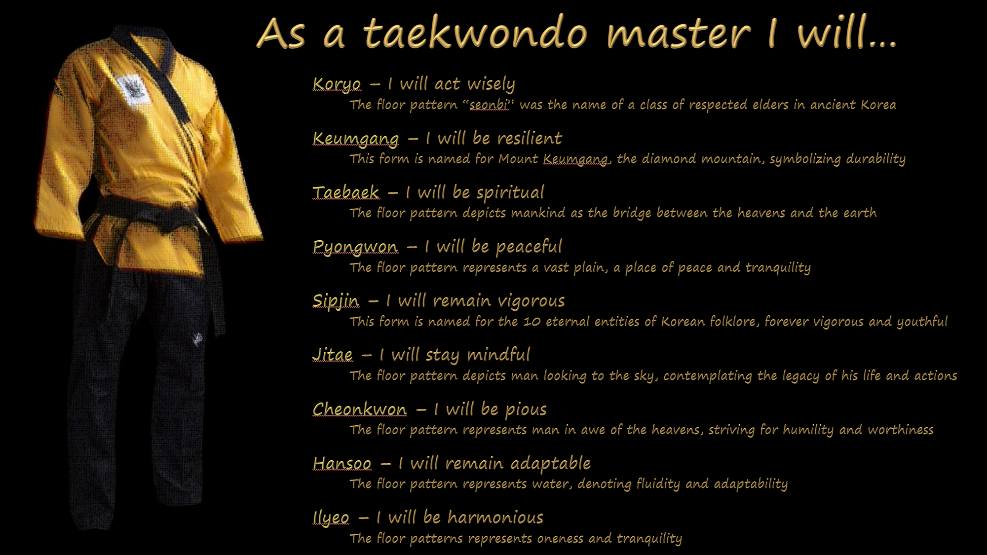 tkd black belt essay