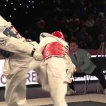 Taekwondo Free Sparring Taekwondo Wiki Fandom