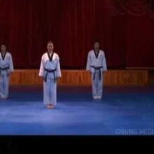 Taekwondo Wikia Online Training Wt Taekwondo Wiki Fandom