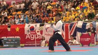 Freestyle Forms, Taekwondo Wiki