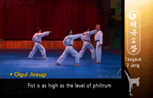 High Punch (in a Long Front Stance) in Taegeuk Yi Jang