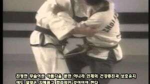 Grand_Master_Kwang_Jo_Choi_Documentary_(Korean_Sub)_3_of_5.AVI