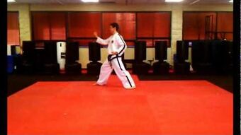 Taekwondo Stretching, Taekwondo Wiki
