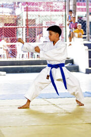 Young karateka performing Kūsankū-shō (Karate kata)