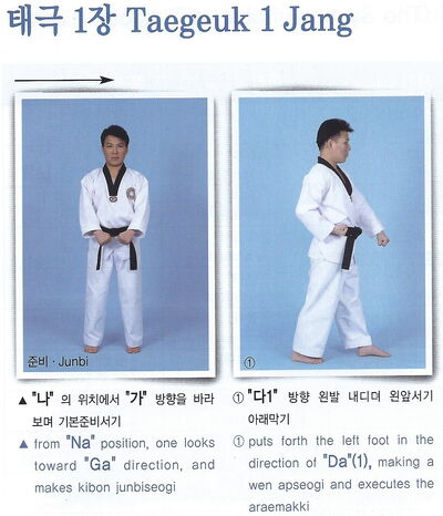 Taekwondo Textbook | Taekwondo Wiki | Fandom