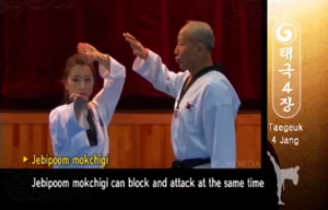 Swallowform Knifehand Strike