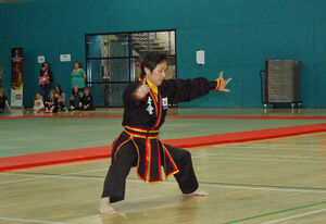 Kuk Sool Won hyung-Master Sung Jin Suh 01-Crop.jpg