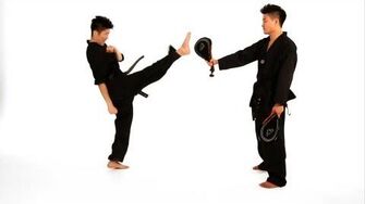 How_to_Do_a_Front_Kick_Taekwondo_Training