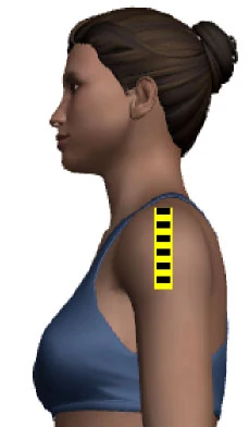 Sleeve Cap (measurement) | Patternmaking and Tailoring Wiki | Fandom