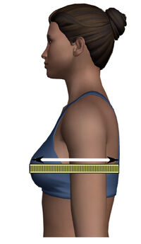 Full Bust (measurement), Patternmaking and Tailoring Wiki