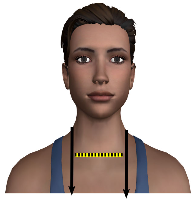 Neck Width (measurement), Patternmaking and Tailoring Wiki