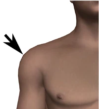 Shoulder-point-front