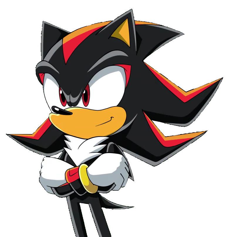 Sonic and Shadow VS DeviantArt (FT Tails) 