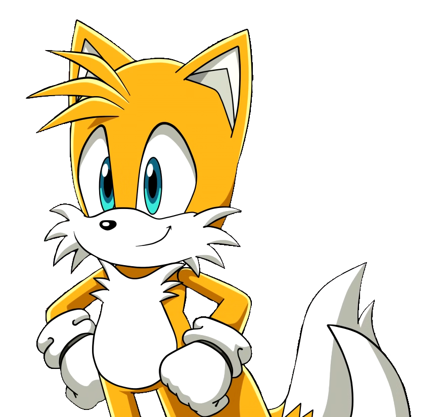 Tails Doll, Tails and Sonic Pals Wiki