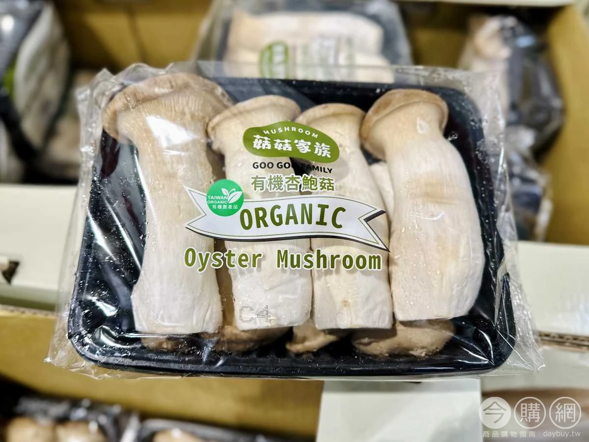Oyster Mushroom | Taiwan Info Wiki | Fandom