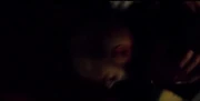 Albanian Mafia trafficker -24 kill