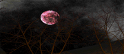 RedMoon