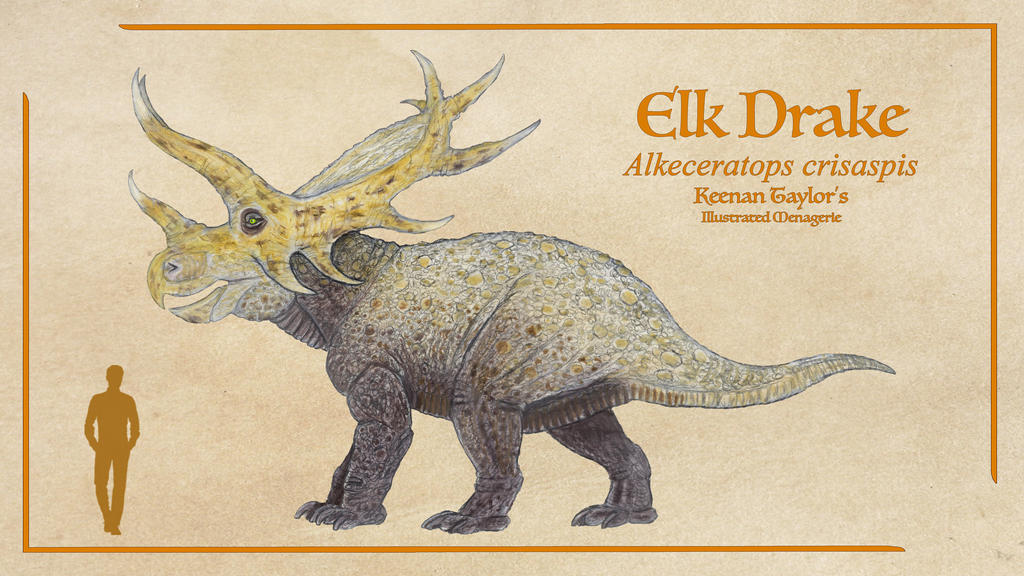 Elk Drake Tales of Kaimere Wiki Fandom