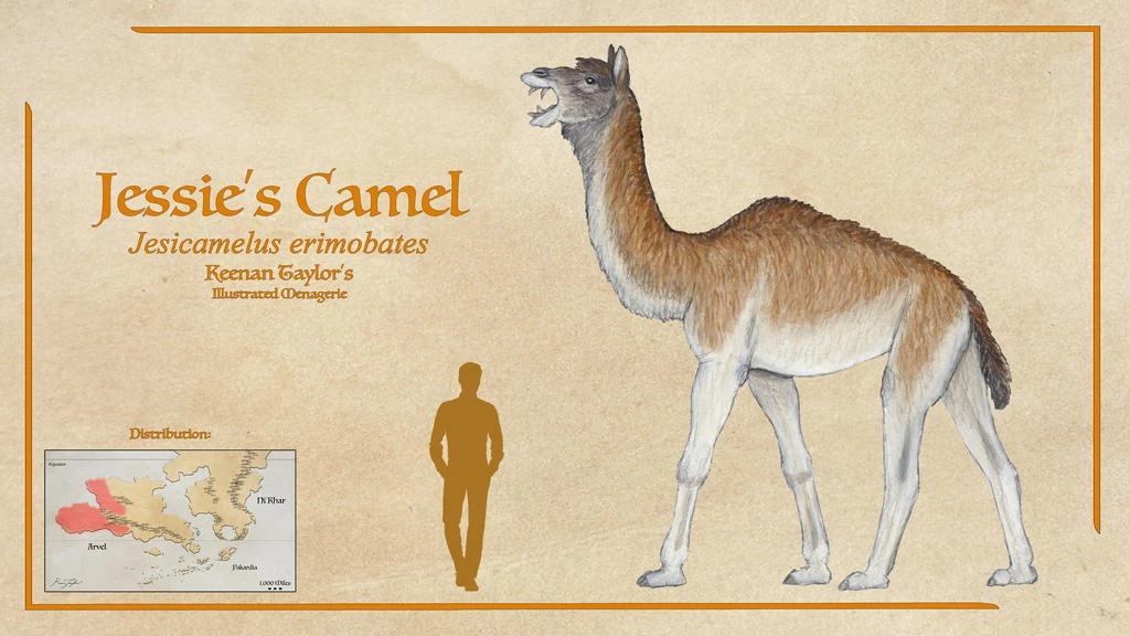 Jessie's Camel | Tales of Kaimere Wiki | Fandom