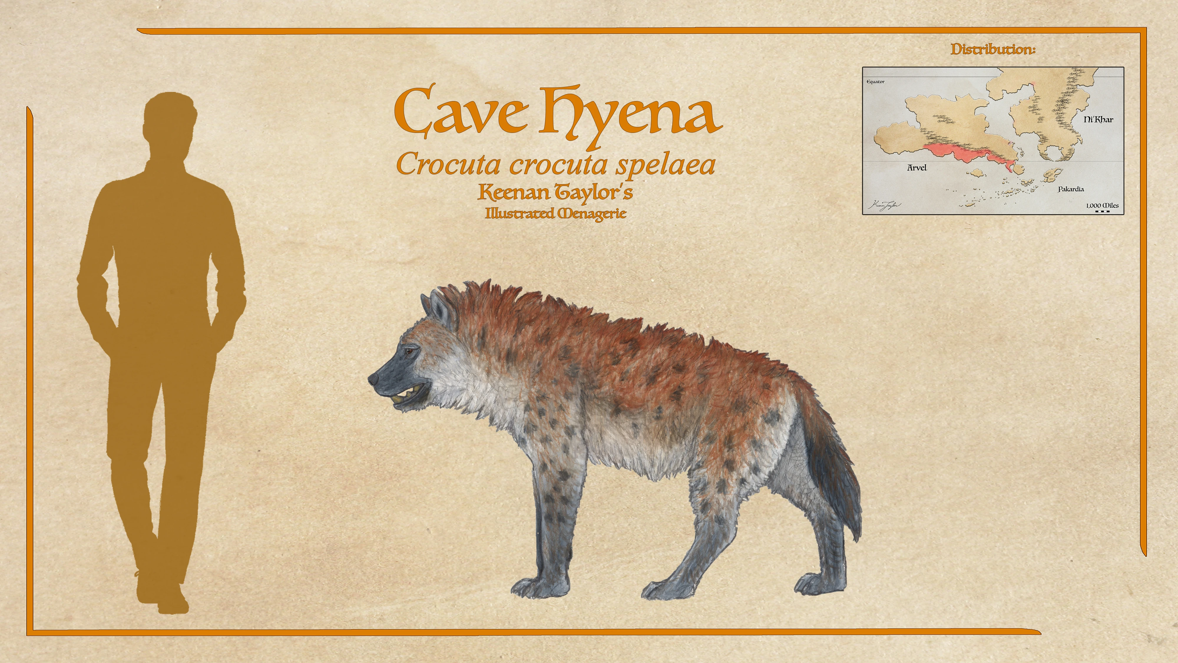 HYENA STATION  Taken a few days ago, just after sunset! Young spotted hyena in