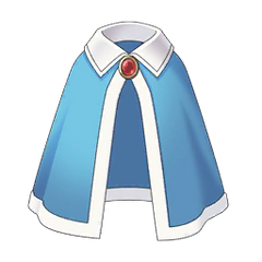 Coat Gown