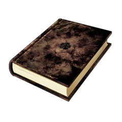 Asta's Grimoire