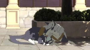 Repede als Welpe mit Lambert