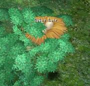Owlie Lair.jpg
