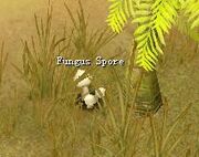 Fungus Sport.jpg