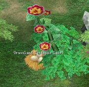 Grassland Tortoise Lair.jpg