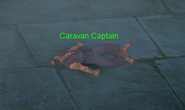 Caravan Captain